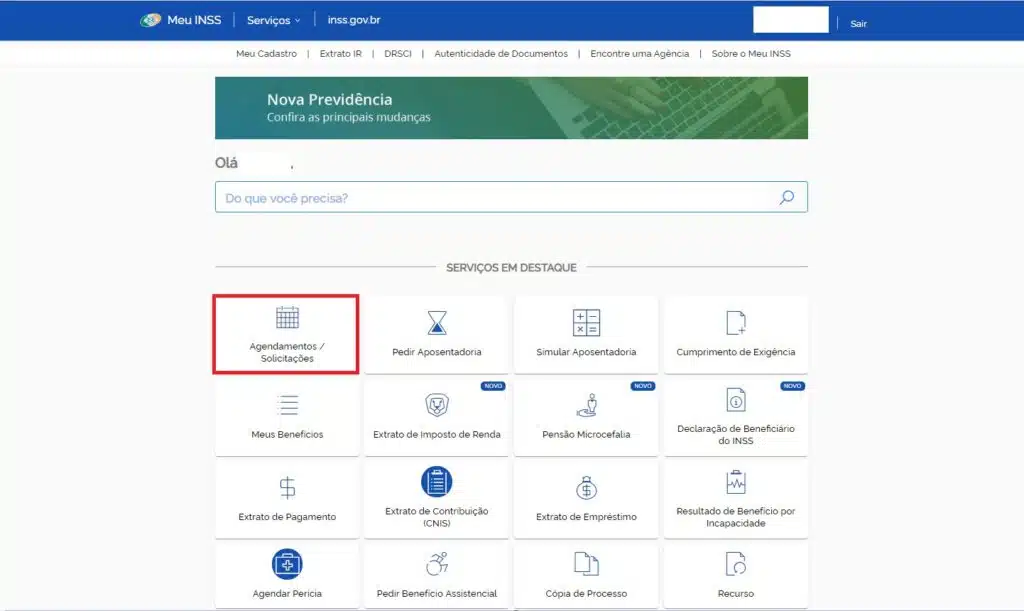 Tela da plataforma meu INSS, para consultar o seguro defeso