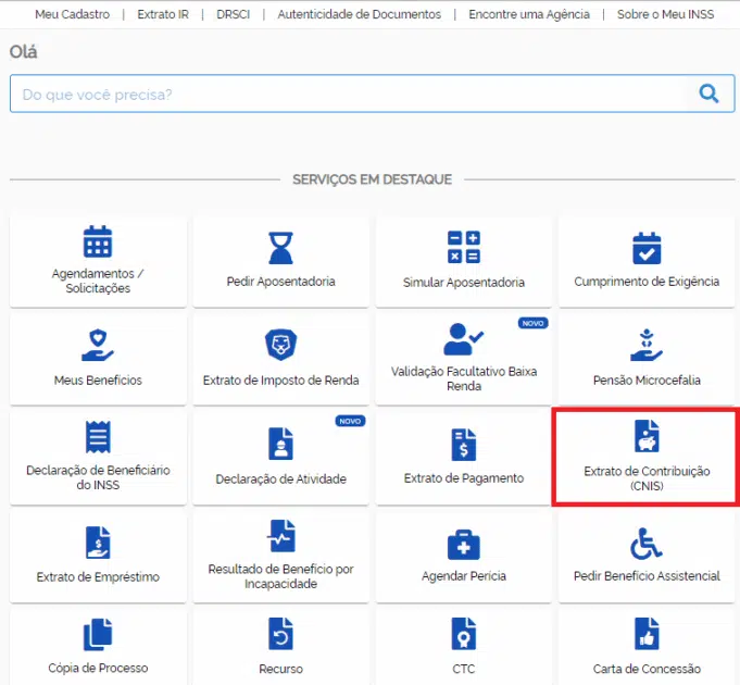 Tela para verificar benefício no site Meu INSS