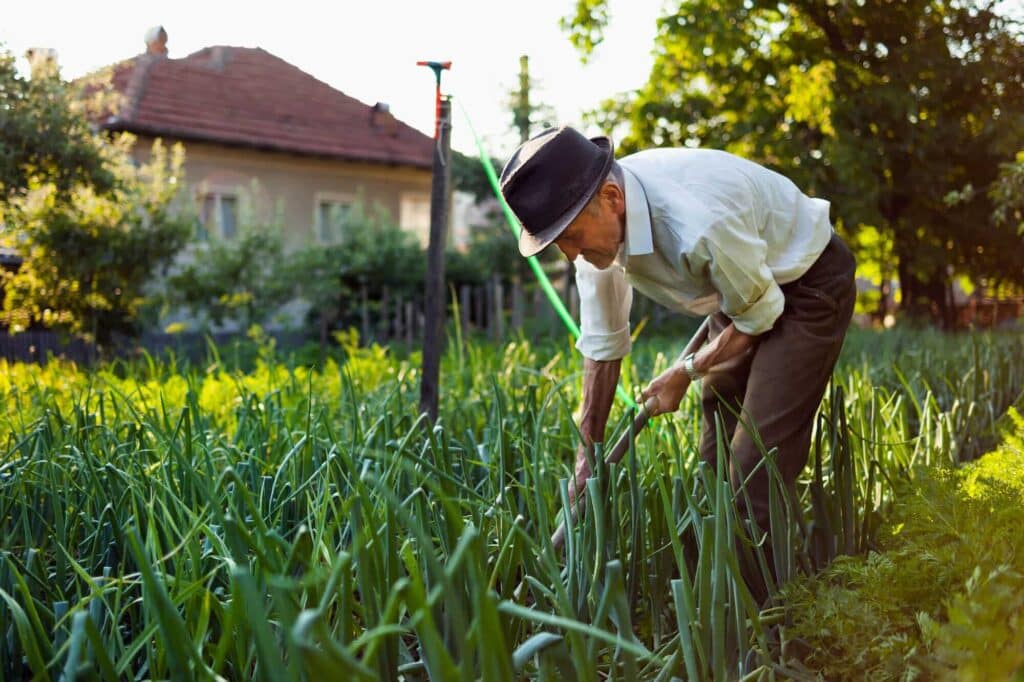 Aposentadoria do Agricultor;