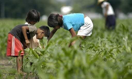 Idade para aposentadora rural