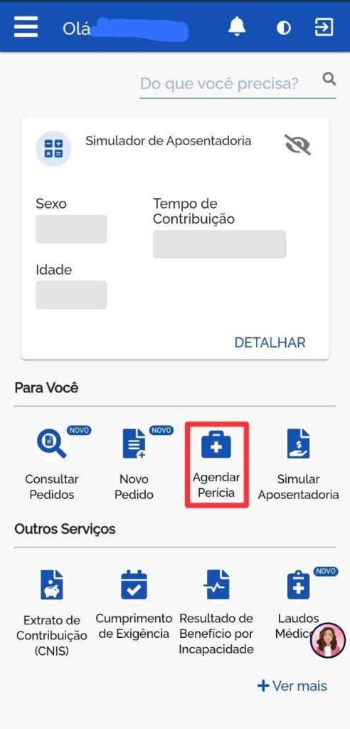 Agendar perícia;