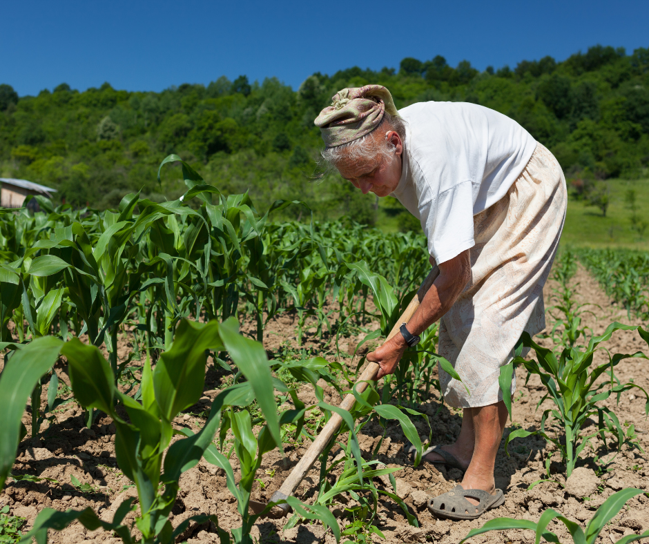 Trabalhador rural no campo