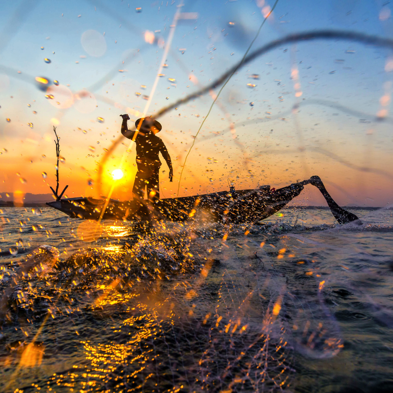 direitos do pescador no inss